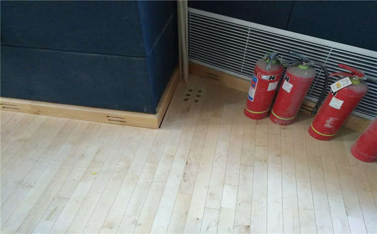 專(zhuān)業(yè)的籃球場(chǎng)木地板價(jià)格是多少錢(qián)？