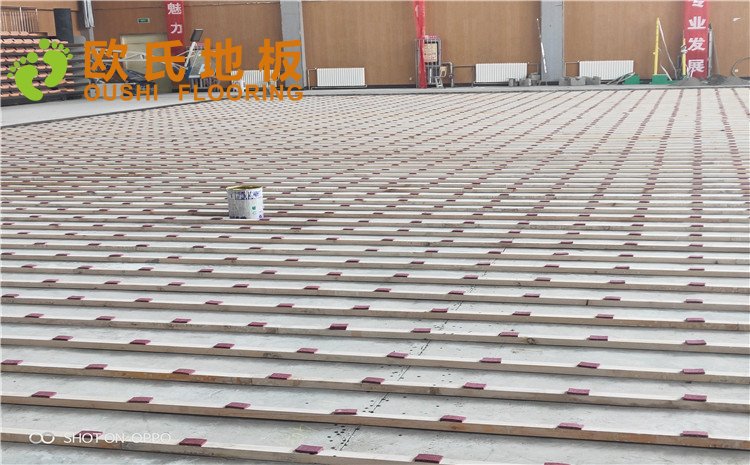 西寧市世紀職業(yè)技術學校籃球訓練館木地板圖片