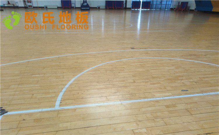 北京市亞洲殘疾人體育訓(xùn)練中心木地板圖片